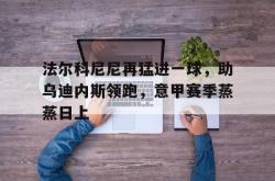 爱游戏(中国)-法尔科尼尼再猛进一球，助乌迪内斯领跑，意甲赛季蒸蒸日上