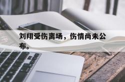爱游戏(中国)-刘翔受伤离场，伤情尚未公布。